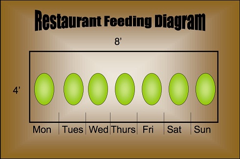feeding chart